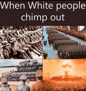 1747179926925.png