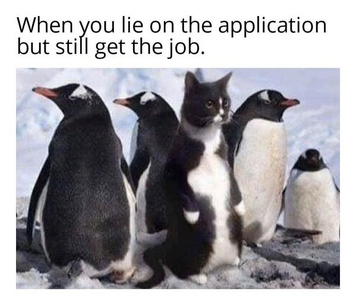1747507192822.png