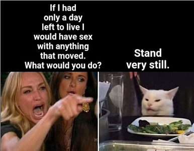 1747540006541.png
