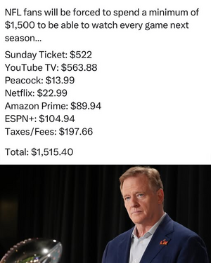 1747543279678.png