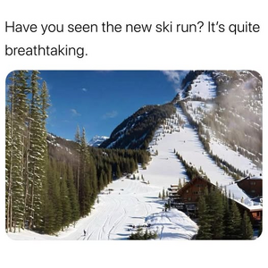 1747609057654.png