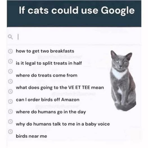 1747799999704.png