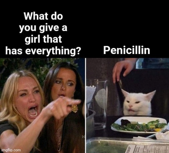 1747888333295.png