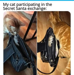 1747925717333.png