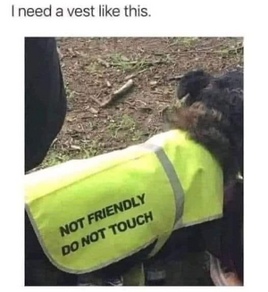 1748160557971.png