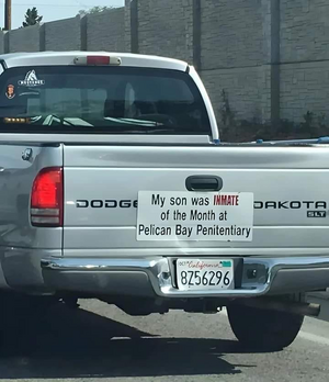 1748160599686.png