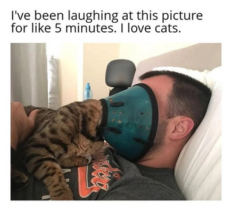 1748193930042.png