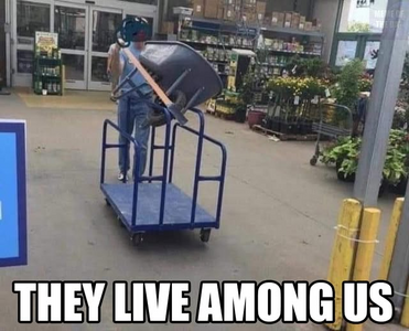 1748442319886.png