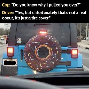 1748457459513.png