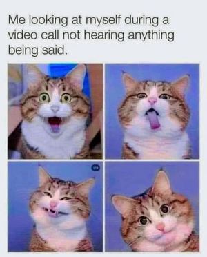 1748473439055.png