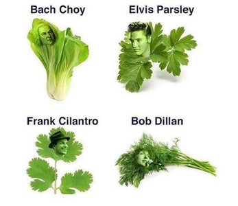 1748483239757.png