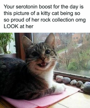 1748553398201.png