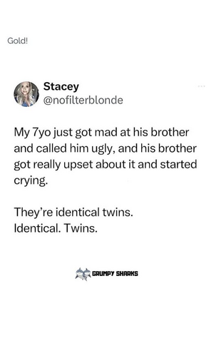 1748563370667.png