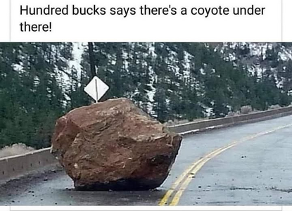 1748606424915.png