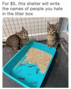 1748723966465.png