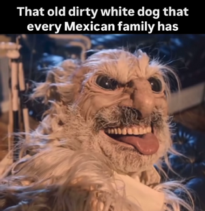 1749259529348.png