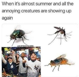 1749375620465.png