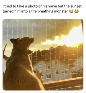 1749445433766.png