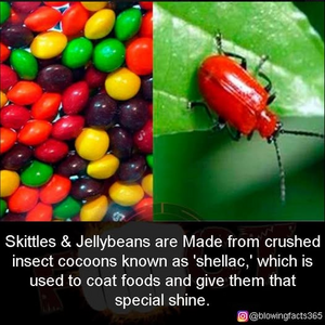 1749647322899.png