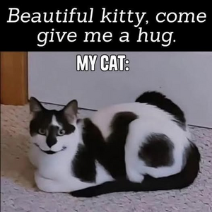 1749683706989.png