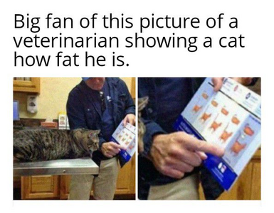 1749993708529.png