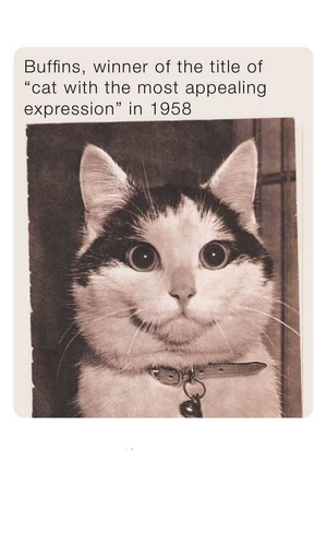 1750094272596.png