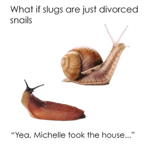 1750144080533.png
