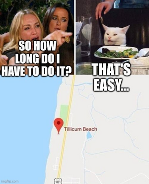 1750434393529.png