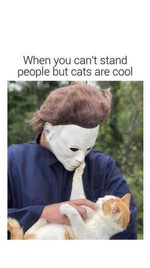 1750448043464.png