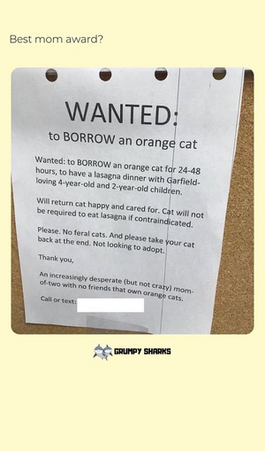 1750636955692.png