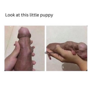 1750695739922.png