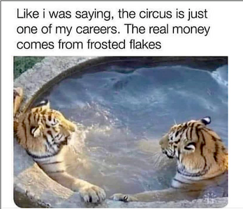 1751164075603.png