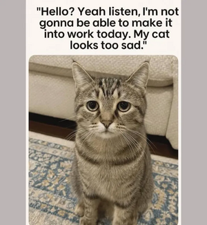 1751539932413.png