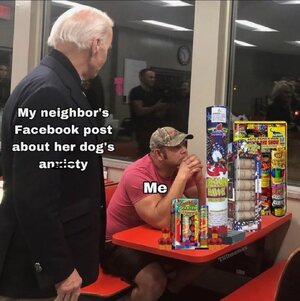 1000071456.jpg