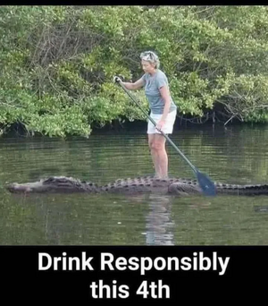 1751669620538.png