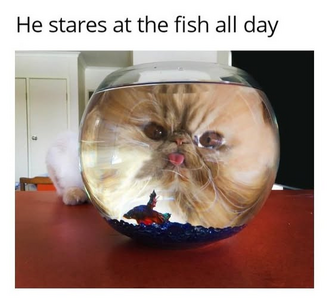 1751743742394.png