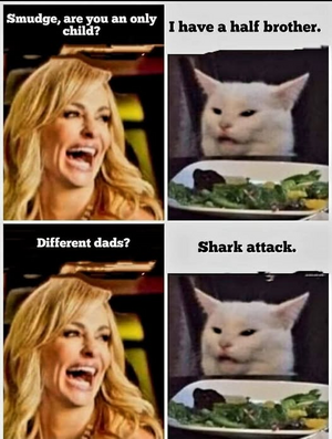 1751915694611.png