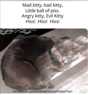 1752771927494.png