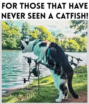1752780064259.png