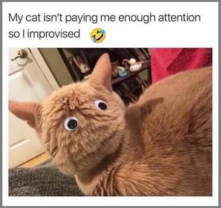 1753439932493.png