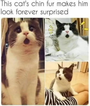 1753637821203.png