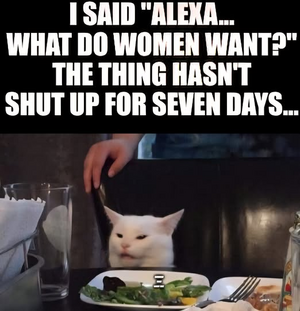 1753679299605.png