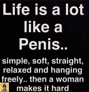 1753727604949.png