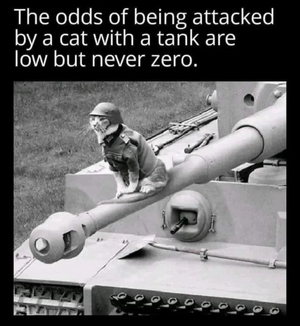 1753958606919.png