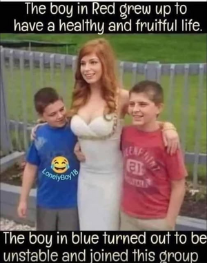 1754058817536.png