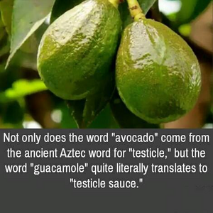 1754886051572.png