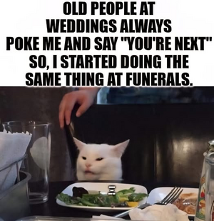 1755381252329.png