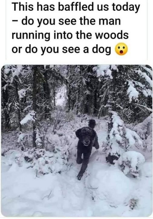 1755417976673.png