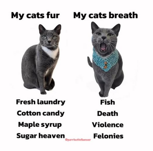 1755615654879.png