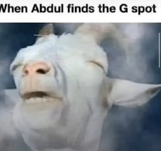 1756228677415.png
